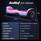 Sacramento Hoverboard