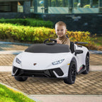 Phoenix Lamborghini